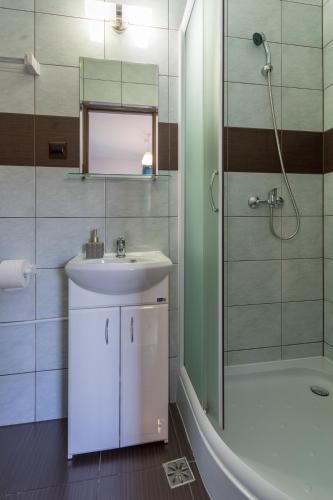 a bathroom with a sink and a shower and a mirror at Pokoje Goscinne AnMar in Krościenko