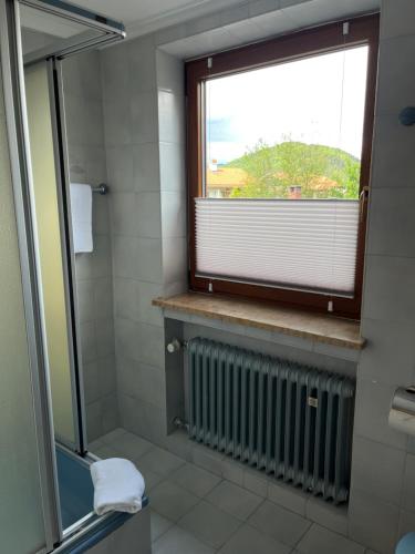 a bathroom with a window and a shower at Alpenhof Wallgau in Wallgau