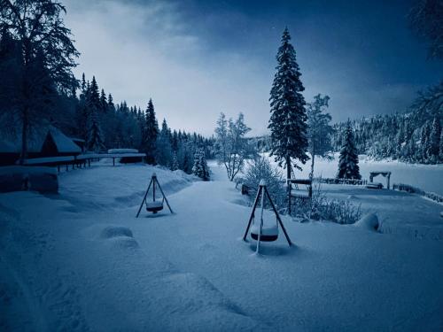 a yard covered in snow with two swings at Efri Halfa in Homstad