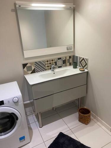 une salle de bain avec un lavabo et une machine à laver dans l'établissement Les charmes de l'Yères, à Criel-sur-Mer