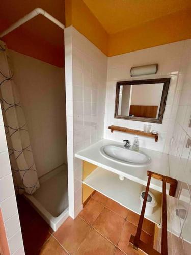 une salle de bain avec un lavabo, une douche et un miroir dans l'établissement Logement au calme entoure d un grand jardin, à Falleron