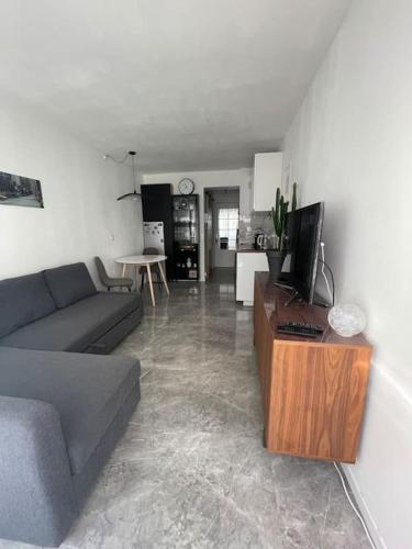 un salon avec un canapé et une télévision dans l'établissement Appartement à 3mn de la Promenade Des Anglais, à Nice