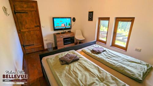a living room with two beds and a television at Arode Nature Villa Bellevue in Katselovo