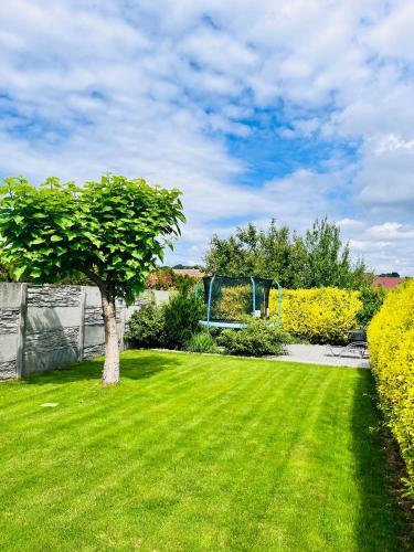 a green lawn with a tree in a yard at Apartmány na Zahradní in Břeclav
