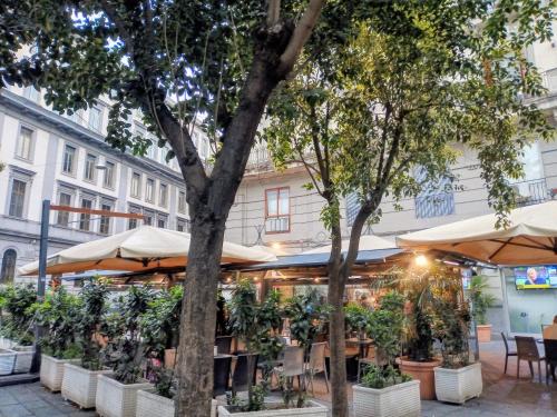 Appartamento-Casa Vacanze La Teresina Centralissima Tra Stazione Centrale e Aeroporto