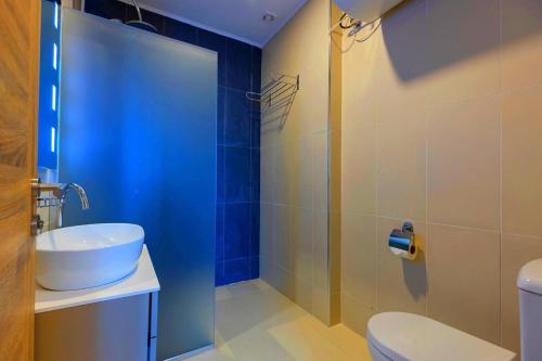 La salle de bains est pourvue d'un lavabo, de toilettes et d'une douche. dans l'établissement Kvariati beach, à Kvariati