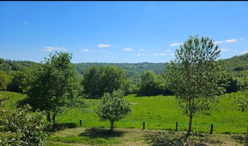 two trees in a field with a fence at Gîte de La Garrigue in Brandonnet
