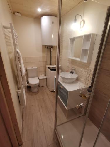 une petite salle de bain avec toilettes et lavabo dans l'établissement Appartement en centre ville Au pied de l'Izoard, à Briançon