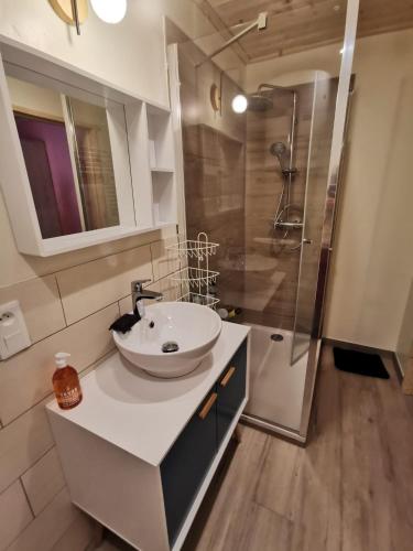 une salle de bain avec un lavabo et une douche dans l'établissement Appartement en centre ville Au pied de l'Izoard, à Briançon
