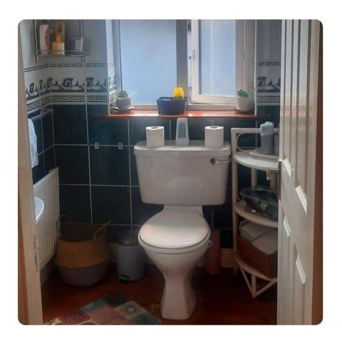 a bathroom with a white toilet in a room at Glasha House in Limerick