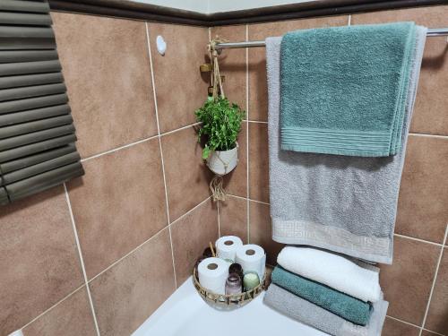 a bathroom with a sink and towels and a plant at Lions Haven in Pretoria
