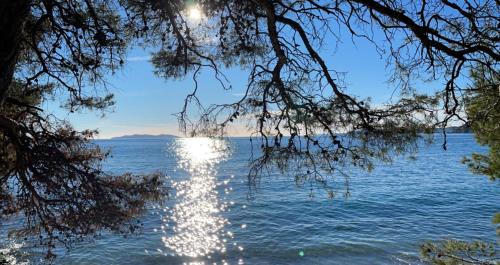 - une vue sur l'eau depuis la rive d'un lac dans l'établissement Clair de Lune, à Rayol-Canadel-sur-Mer
