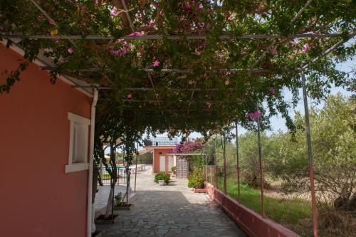 Gallery image of Paradise Studios in Svoronata
