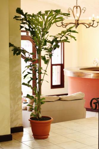 Posezení v ubytování Nesthost Stay Hotel