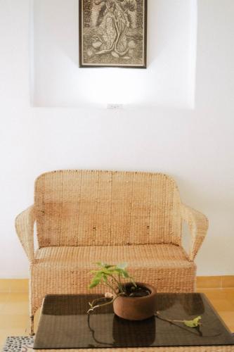 a rattan couch in a living room with a plant on a table at El MURO MAJAHUA RETREAT CENTER in La Majahua