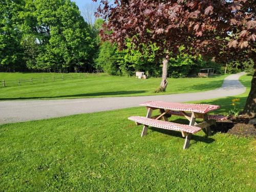 uma mesa de piquenique e um banco num parque em Countryside Farm Estate - Bnb em Orillia
