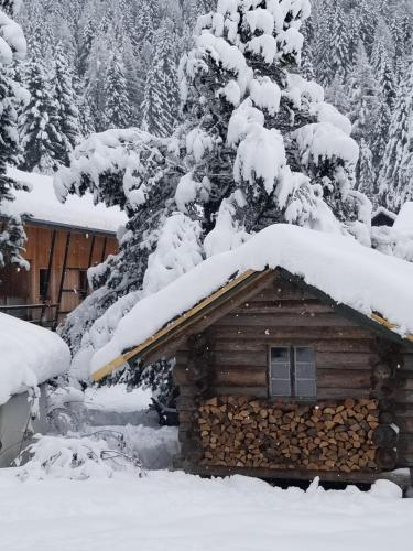 a log cabin with snow on top of it at Chalet Walser à VALLORCINE 13 kms CHAMONIX France in Vallorcine
