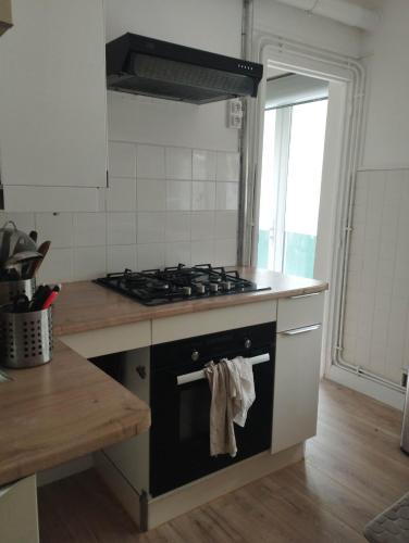 Il comprend une cuisine équipée d'un four et de plaques de cuisson. dans l'établissement Appartement Centre ville, à Montpellier