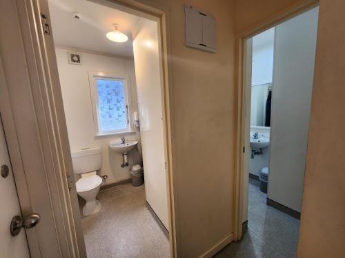 a small bathroom with a toilet and a sink at Pinewood Lodge in Queenstown