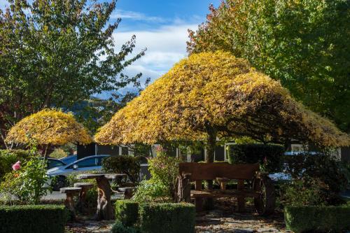 a garden with a bench and a large umbrella at Pinewood Lodge in Queenstown