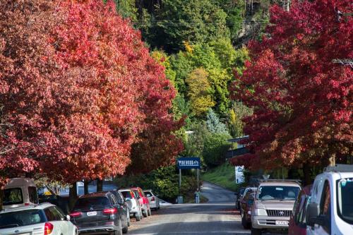 a row of cars parked on a road with trees at Pinewood Lodge in Queenstown