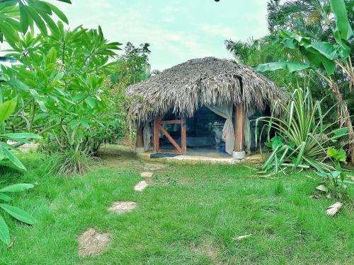 Cabaña pequeña con techo de hierba en Dream Glamping Jungle Bohio en Las Terrenas
