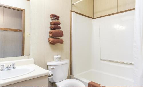 a bathroom with a white toilet and a sink at Talbot Arm Motel in Destruction Bay