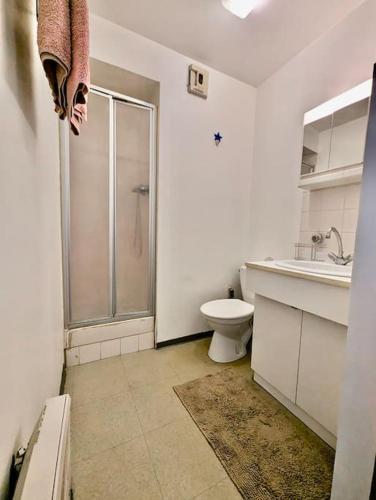 une salle de bain avec une douche, des toilettes et un lavabo dans l'établissement Studio Centré, Calme & Tout Equipé avec Parking Privé, à Grenoble