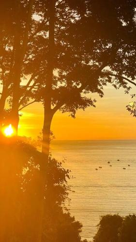 a sunset over a body of water with a tree at Azul Vista Drake Bay-AC-Full Kitchen in Drake