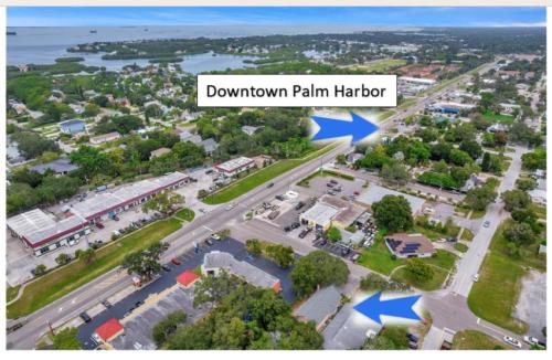 a rendering of a town square with a park at Beaches, Parks, Downtown, Trail, Breweries, Bikes, Gameroom in Palm Harbor