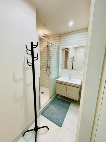 une salle de bain avec une douche, un lavabo et un miroir dans l'établissement Stylish, Calm and Green Home Stay, à Saint-Fargeau-Ponthierry