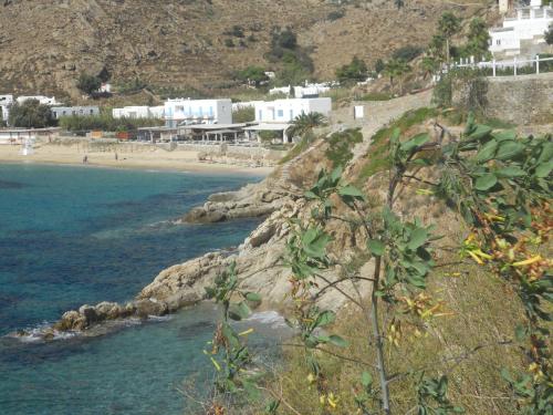 Φυσικό τοπίο κοντά σε αυτή η παραθεριστική κατοικία