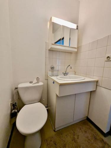 une salle de bain avec des toilettes blanches et un lavabo dans l'établissement Studio 105 - Calme & Tout Equipé avec Parking Gratuit, à Grenoble
