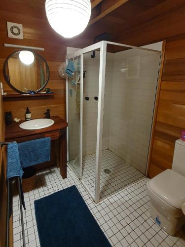 a bathroom with a shower with a sink and a toilet at Kalighat River House - Boat Access only in Bar Point