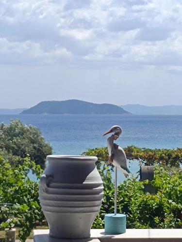 a bird sitting on a vase next to the ocean at On the beach Neos Marmaras in Neos Marmaras
