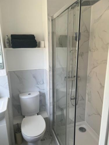 uma casa de banho com um WC e uma cabina de duche em vidro. em Carmen’s Flat em Londres
