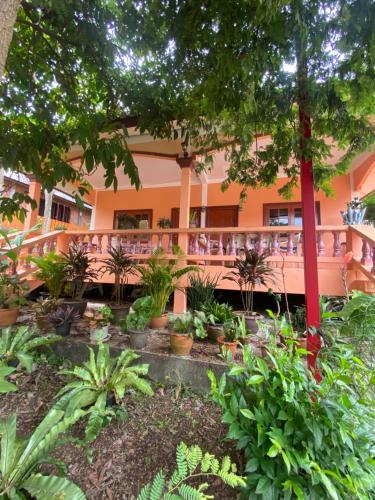 a garden in front of a building with plants at Good vibes bungalow at Ya Nui beach in Phuket Town