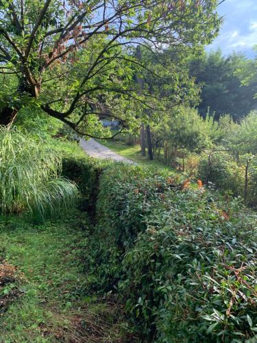a path through a park with grass and trees at Wine Cellar Turned Idyllic Spa Escape in Lenti