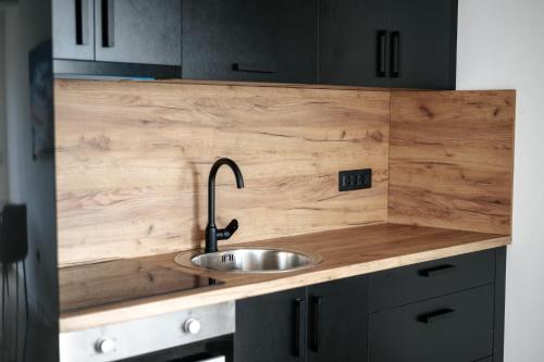 uma cozinha com lavatório e bancada em madeira em Resort Stikovic em Dobra Voda