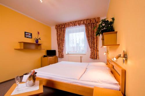 a bedroom with a bed and a window at Penzion Bohemia in Lomnice nad Lužnicí