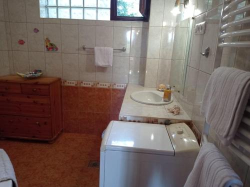 a bathroom with a sink and a washing machine at Pine Grove Villa in Gödöllő