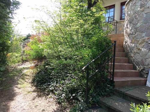 a set of stairs leading up to a house at Pine Grove Villa in Gödöllő