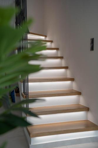 a set of stairs with a green plant at Adaman Villas in Meganisi