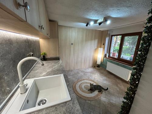 eine Küche mit einem Waschbecken und einem Fenster in der Unterkunft Guest House Rila in Govedartsi