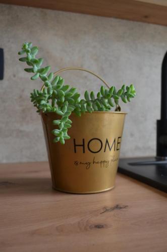 Billede fra billedgalleriet på Apartment Mamma Mia i Rijeka