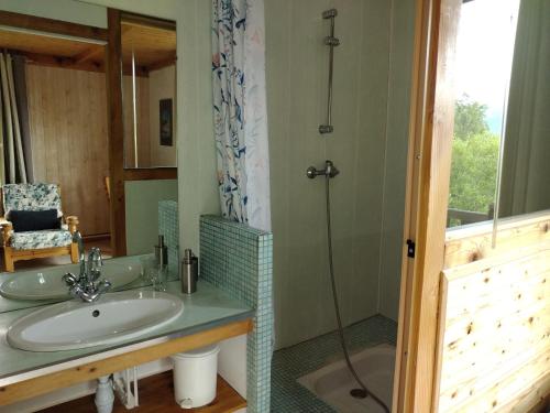 y baño con lavabo y ducha. en Le Vieux Chalet, en Embrun