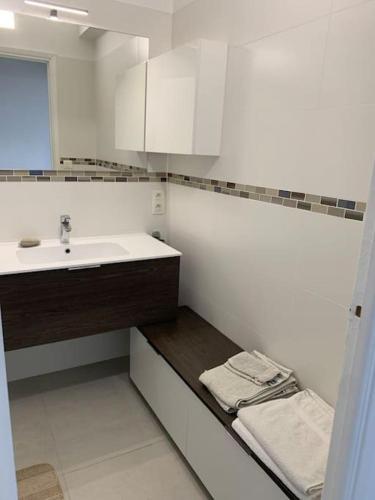 une salle de bain avec un lavabo et un comptoir avec des serviettes dans l'établissement Très bel appartement 2 pièces, à Nice