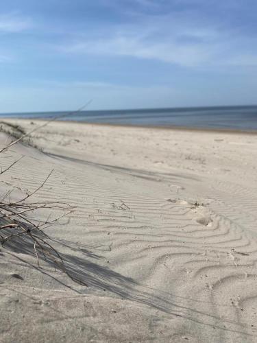 a beach with footprints in the sand and the ocean at Guest House Saulgriezes in Nīca