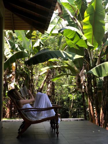 Jardín al aire libre en Aarunya Nature Resort - Kandy