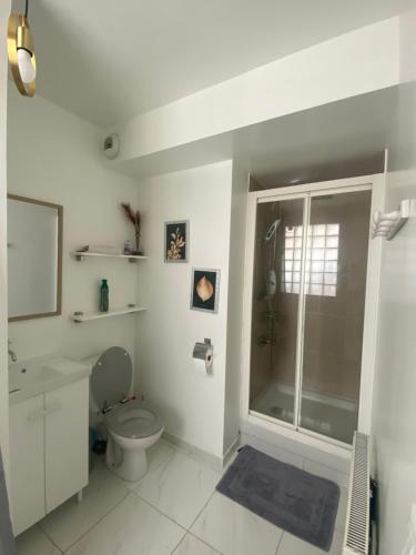 La salle de bains blanche est pourvue d'une douche et de toilettes. dans l'établissement Appartement avec terrasse proche Métro, à Saint-Denis